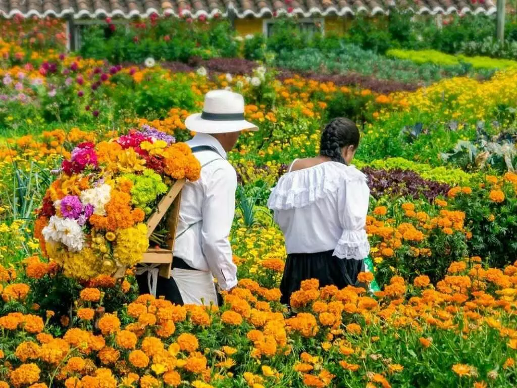 Exploring Feria de las Flores: Colombia's Incredible Flower