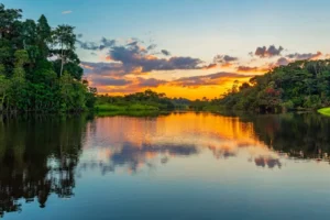 Selva amazonica Colombia